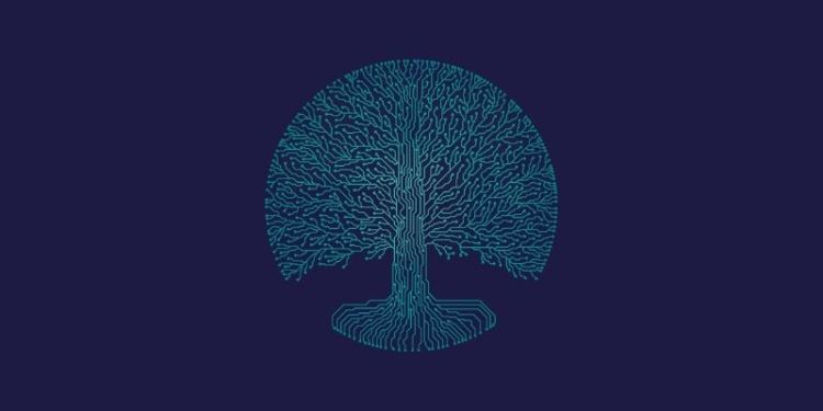 Knowledge for all: our vision for 2030