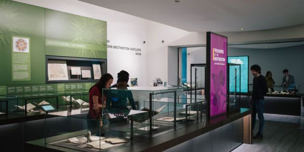 Visitors looking at displays in the Treasures of the Brotherton Gallery