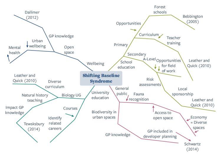 Example of a mindmap